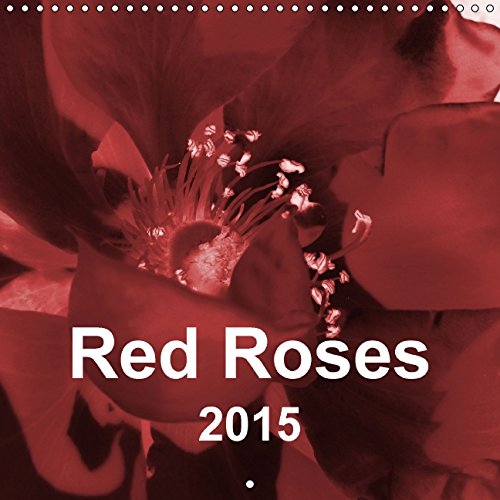 Red Roses (Wall Calendar 2015 300 × 300 mm Square): Floral Abstractions in Red (Monthly calendar, 14 pages) (Calvendo Nature) Hobbies & Crafts
