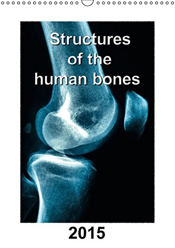 Structures of the human bones (Wall Calendar 2015 DIN A3 Portrait): Structure of bones with detailed x-ray pictures in colour (Monthly calendar, 14 pages) (Calvendo People) Medicine
