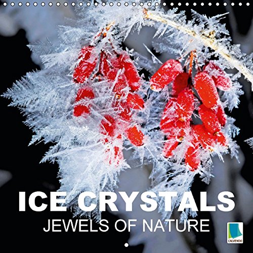 Ice crystals Jewels of nature (Wall Calendar 2015 300 × 300 mm Square): Frost Crystals made of water (Monthly calendar, 14 pages) (Calvendo Nature) Leisure, Home & Garden