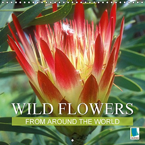 Wild flowers from around the world (Wall Calendar 2015 300 × 300 mm Square): The wild siblings of our potted friends (Monthly calendar, 14 pages) (Calvendo Nature) Leisure, Home & Garden