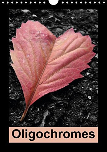 Oligochromes (Calendrier mural 2015 DIN A4 vertical): Quand le noir et blanc rencontre la couleur. (Calendrier mensuel, 14 Pages) (Calvendo Art) Photography