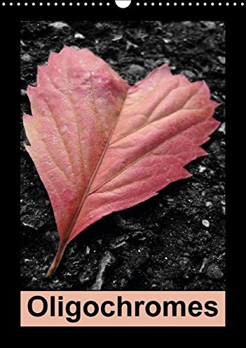 Oligochromes (Calendrier mural 2015 DIN A3 vertical): Quand le noir et blanc rencontre la couleur. (Calendrier mensuel, 14 Pages) (Calvendo Art) Photography