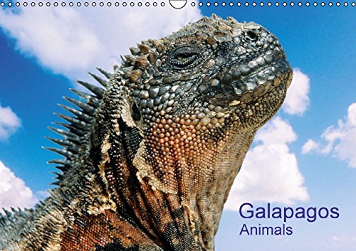 Galapagos Animals (Wall Calendar 2015 DIN A3 Landscape): Galapagos Animals (Monthly calendar, 14 pages) (Calvendo Animals) Books