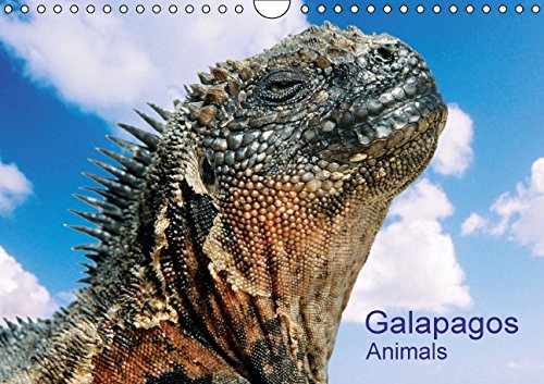 Galapagos Animals (Wall Calendar 2015 DIN A4 Landscape): Galapagos Animals (Monthly calendar, 14 pages) (Calvendo Animals) Books