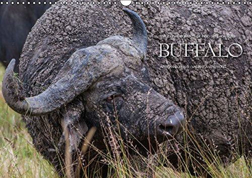 Emotional Moments: Buffalo UK Version (Wall Calendar 2015 DIN A3 Landscape): African buffalo - valiant and strong. (Monthly calendar, 14 pages) (Calvendo Animals) Photography