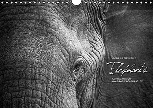 Emotional Moments: Elephants / UK Version (Wall Calendar 2015 DIN A4 Landscape): Lovable and gentle giant (Monthly calendar, 14 pages) (Calvendo Animals) Photography