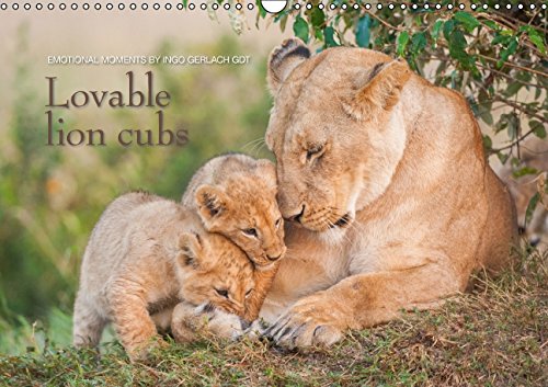 Emotional moments: Lovable lion cubs UK-Version (Wall Calendar 2015 DIN A3 Landscape): The children from "the lion king" (Monthly calendar, 14 pages) (Calvendo Animals) Photography