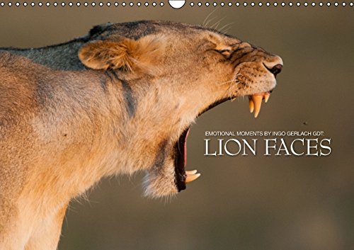 Emotional moments: lion faces UK Version (Wall Calendar 2015 DIN A3 Landscape): Portraits from The Lion King (Monthly calendar, 14 pages) (Calvendo Animals) Photography