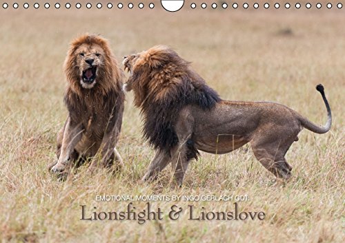 Emotional Moments: Lionsfight & Lionslove UK Version (Wall Calendar 2015 DIN A4 Landscape): From the Life of the Lion King (Monthly calendar, 14 pages) (Calvendo Animals) Business, Finance & Career