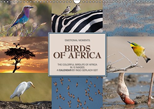 Emotional Moments: Birds of Africa UK-Version (Wall Calendar 2015 DIN A3 Landscape): The colorful birds of Africa in 12 images. A calendar by Ingo ... calendar, 14 pages) (Calvendo Animals) Business & Technology