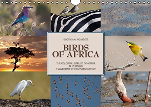 Emotional Moments: Birds of Africa UK-Version (Wall Calendar 2015 DIN A4 Landscape): The colorful birds of Africa in 12 images. A calendar by Ingo ... calendar, 14 pages) (Calvendo Animals) Business & Technology