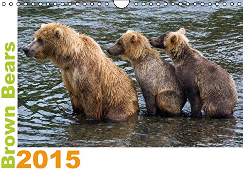 Brown Bears 2015 UK-Version (Wall Calendar 2015 DIN A4 Landscape): Brown Bears - a shooting of a special kind (Monthly calendar, 14 pages) (Calvendo Animals) Books