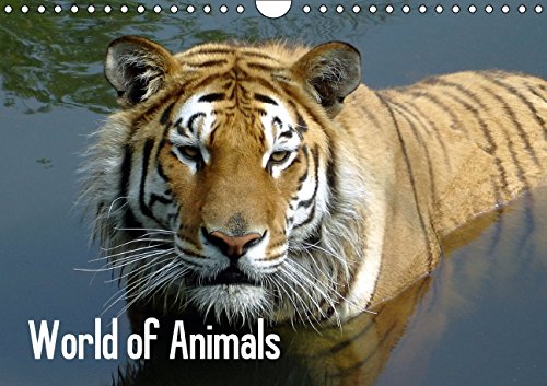 World of Animals UK (Wall Calendar 2015 DIN A4 Landscape): Animals enchant us, this calendar offers a glimpse into the diversity of our wildlife (Monthly calendar, 14 pages) (Calvendo Animals) Calendars