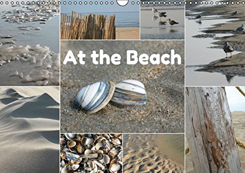 At the Beach - UK-Version (Wall Calendar 2015 DIN A3 Landscape): At the Beach - Zandvoort, The Netherlands - UK-Version (Monthly calendar, 14 pages) (Calvendo Nature) Leisure, Home & Garden