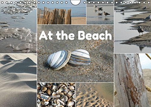 At the Beach - UK-Version (Wall Calendar 2015 DIN A4 Landscape): At the Beach - Zandvoort, The Netherlands - UK-Version (Monthly calendar, 14 pages) (Calvendo Nature) Leisure, Home & Garden