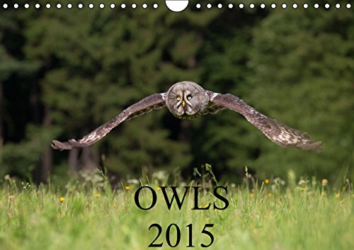 Owls 2015 / UK Version (Wall Calendar 2015 DIN A4 Landscape): Owls photographed by Milan Zygmunt (Monthly calendar, 14 pages) (Calvendo Places) Natural Sciences