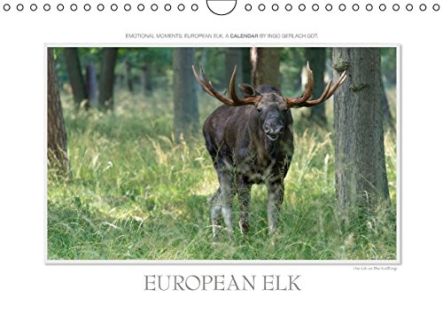 Emotional Moments: European Elk. UK-Version (Wall Calendar 2015 DIN A4 Landscape): Ingo Gerlach GDT has captured the European moose in beautiful and ... calendar, 14 pages) (Calvendo Animals) Books