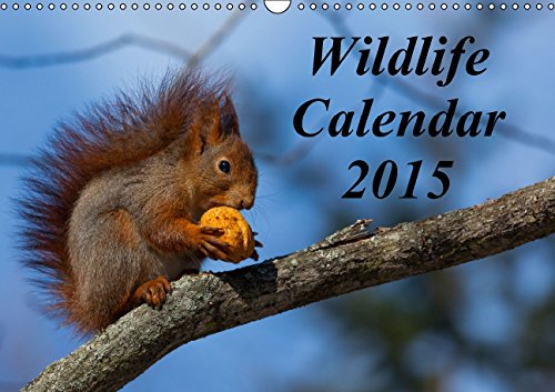 Wildlife Calendar / UK-Version (Wall Calendar 2015 DIN A3 Landscape): A selection of beautiful wildlife pictures (Monthly calendar, 14 pages) (Calvendo Animals) Business & Technology