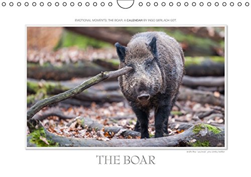 Emotional Moment: The Boar. UK-Version (Wall Calendar 2015 DIN A4 Landscape): Wonderful shots of the wild boar in the seasons. More at www.tierphoto.de (Monthly calendar, 14 pages) Books
