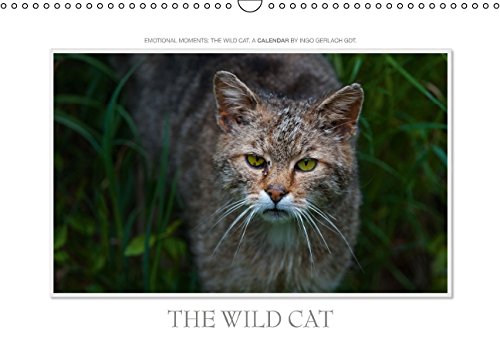 Emotional Moments: The Wildcat. UK-Version (Wall Calendar 2015 DIN A3 Landscape): Exciting pictures of our native wild cat. More at www.tierphoto.de (Monthly calendar, 14 pages) Books