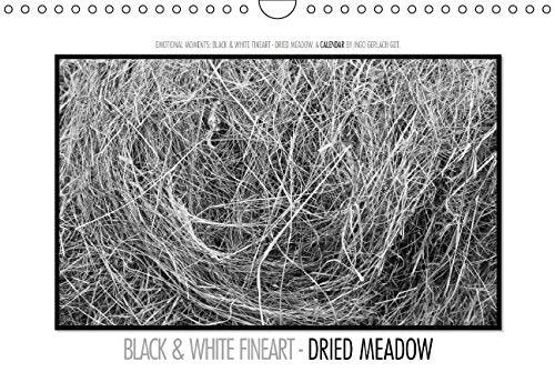 Emotional Moments: Black & White Fineart - dried Meadow. UK-Version (Wall Calendar 2015 DIN A4 Landscape): Exposed a freshly mown meadow with 36 MP ... calendar, 14 pages) (Calvendo Nature) Books