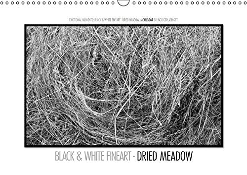 Emotional Moments: Black & White Fineart - dried Meadow. UK-Version (Wall Calendar 2015 DIN A3 Landscape): Exposed a freshly mown meadow with 36 MP ... calendar, 14 pages) (Calvendo Nature) Books