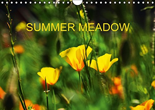 Summer meadow / UK-Version (Wall Calendar 2015 DIN A4 Landscape): Photographs of summer meadows. (Monthly calendar, 14 pages) (Calvendo Nature) Garden & Plants