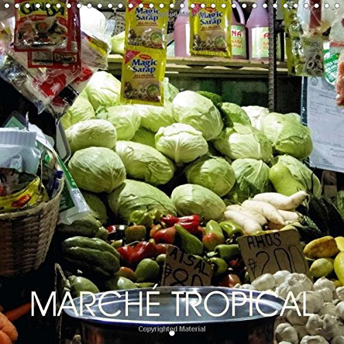 Marché tropical: Une visite au marché public de "la ville de douces personnes" - Dumaguete, Negros Oriental, Philippines book