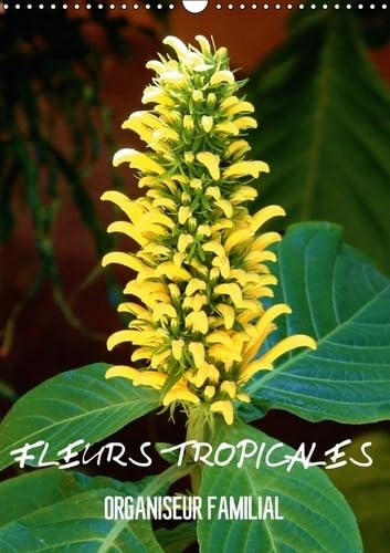 Fleurs tropicales: Organiseur familial - Calendrier mural A3 vertical 2016 book