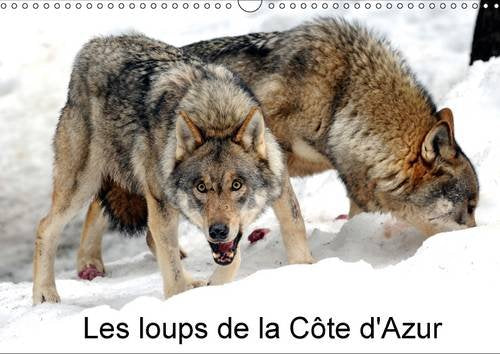 Les loups de la Côte d'Azur: Calendrier mural A3 horizontal 2016 book
