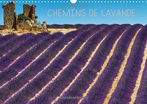 Chemins de lavande: Paysages de champs de lavande. Calendrier mural A3 horizontal 2016 book