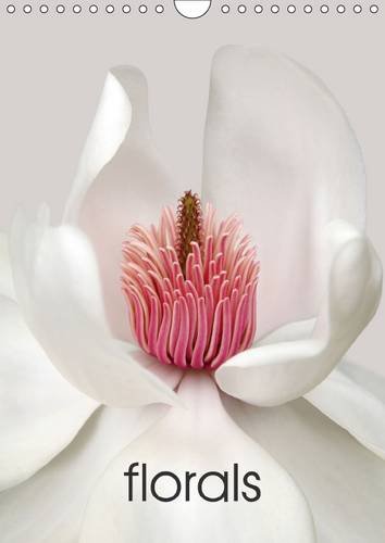 Florals 2016: Garden flower photographs from January to December. (Calvendo Places) Photography