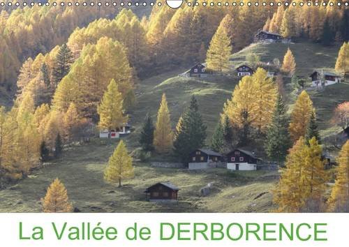 La vallée de Derborence: Derborence, un joyau unique en Suisse. Calendrier mural A3 horizontal 2016 book