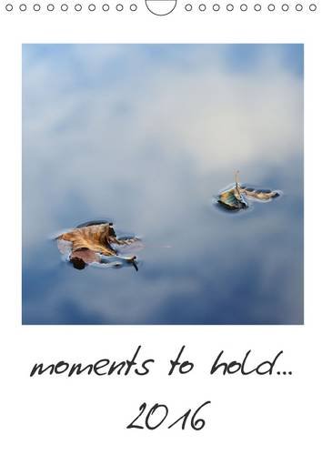 moments to hold... 2016: Small eyecatchers to linger on... (Calvendo Nature) Photography