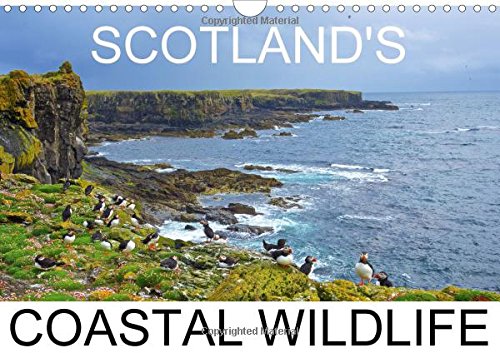 Scottish Coastal Wildlife 2016: Scottish Wildlife Calender (Calvendo Nature) Mathematics