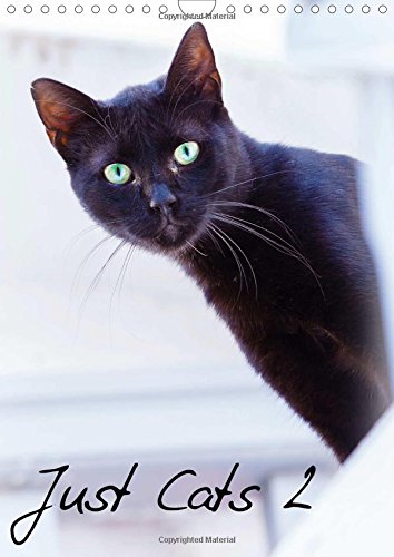 Just Cats 2 2016: Cat images for the feline lover in portrait view (Calvendo Animals) Pets