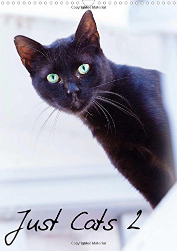 Just Cats 2 2016: Cat images for the feline lover in portrait view (Calvendo Animals) Pets