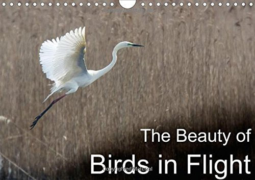 The Beauty of Birds in Flight 2016: A collection of beautiful photographs portraying birds in flight. (Calvendo Nature) Photography