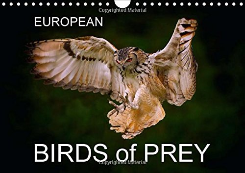 EUROPEAN BIRDS of PREY 2016: EUROPEAN BIRDS of PREY CALENDAR (Calvendo Nature) Mathematics
