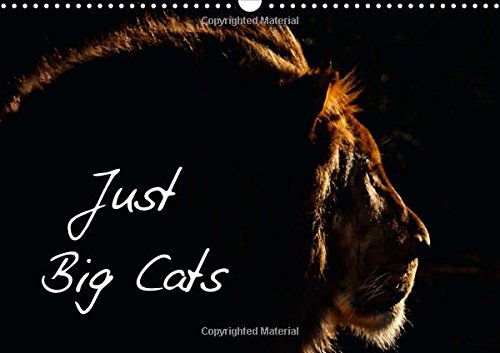 Just Big Cats 2016: Magnificent Felines from Around the World (Calvendo Animals) Mathematics