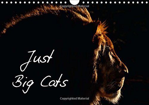 Just Big Cats 2016: Magnificent Felines from Around the World (Calvendo Animals) Mathematics