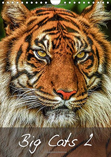 Big Cats2 2016: Magnificent Felines from around the World (Calvendo Animals) Mathematics