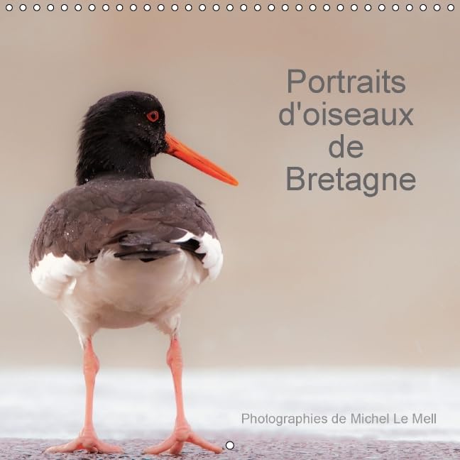 Portraits d'oiseaux de Bretagne 2016: 12 photographies de proximite d'oiseaux bretons (Calvendo Animaux) Mathematics