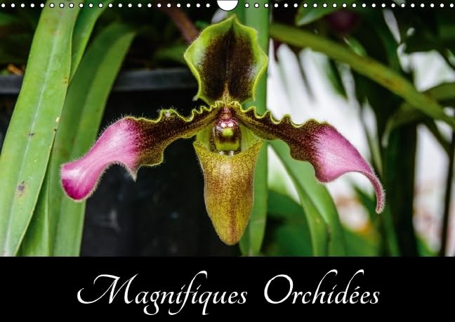 Magnifiques Orchidees 2016: Belles photographies d'orchidees exotiques (Calvendo Nature) Garden & Plants