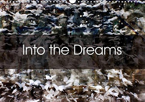 Into the Dreams (Wall Calendar 2016 DIN A3 Landscape): Experience the world of dreams (Monthly calendar, 14 pages) (Calvendo Art) Foix, Solange Photography