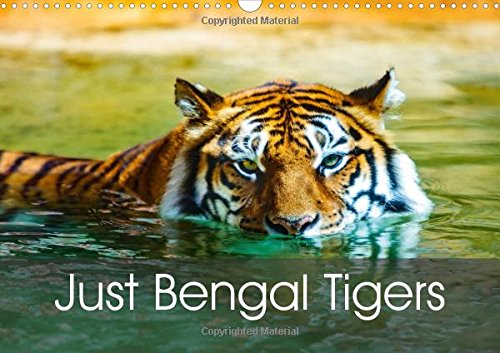 Just Bengal Tigers 2016: Magical Bengal Tigers Both Yellow and White with Stripes (Calvendo Animals) Mathematics