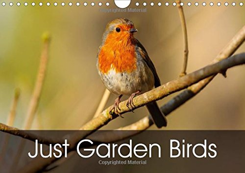 Just Garden Birds 2016: Beautiful Birds in the UK Garden (Calvendo Animals) Mathematics
