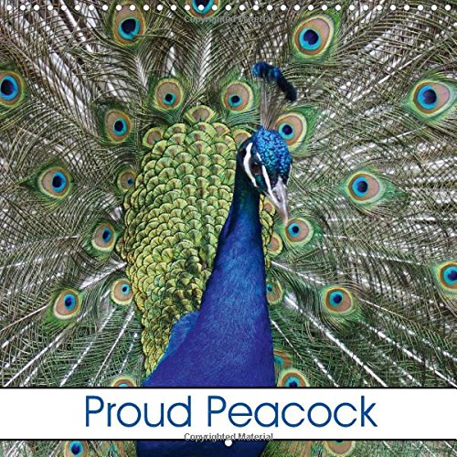 Proud Peacock 2016: Blue Peafowl and Birds (Calvendo Animals) Mathematics