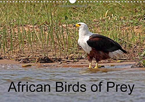 African Birds of Prey 2016: A selection of African birds of prey (Calvendo Nature) Mathematics