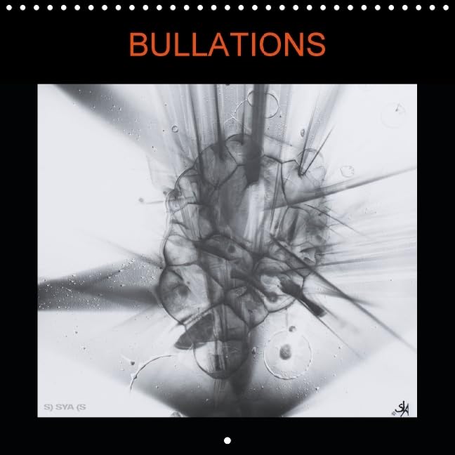 Bullations 2016: La lumière dans tout ses états (Calvendo Art) Film, Art & Culture